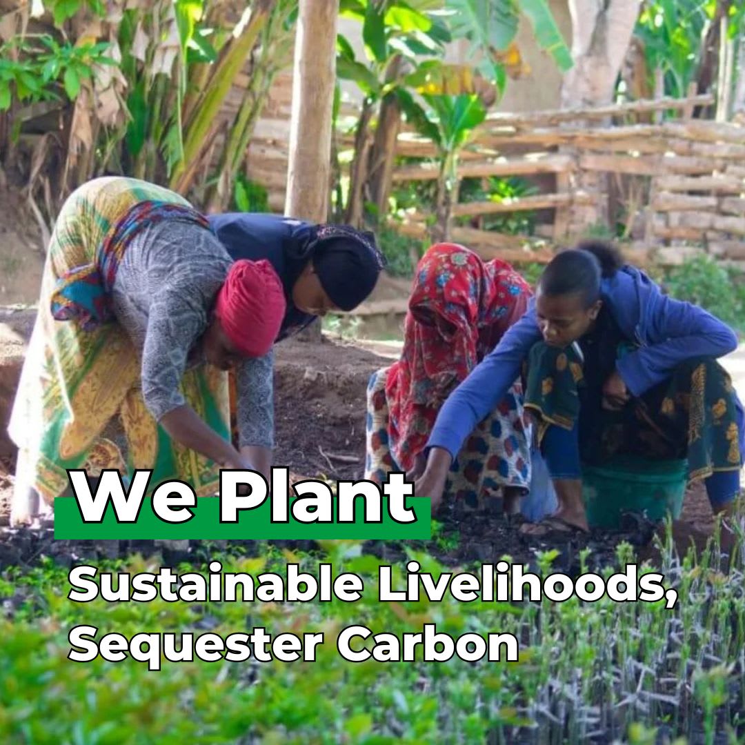 Nurture Our Roots with 100 Trees – “We Are Love Birds”