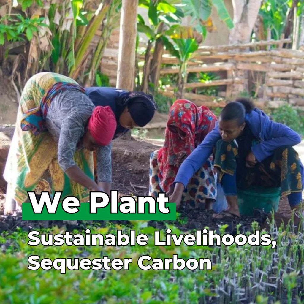 Earth with Heart – Tree Kit - We Plant 20 Trees