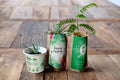 Forest Guardian Pack, We Plant 200 More Trees