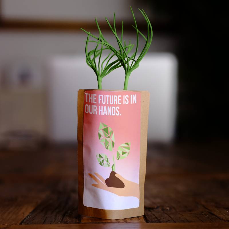 The Future Is In Our Hands Tree - Plants 25 Trees